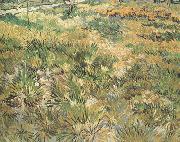 Vincent Van Gogh Meadow in the Garden of Saint-Paul Hospital (nn04) oil painting picture wholesale